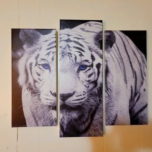 Tiger Canvas